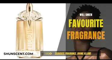 Will Smith's Favorite Scents: Fragrance Secrets Revealed