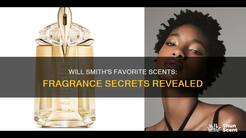 will smith favourite fragrance