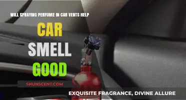 Perfume in Car Vents: Good Idea or Not?