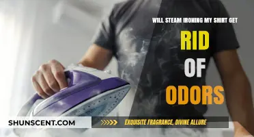 Freshen Up Your Wardrobe: Does Steam Ironing Really Remove Odors?