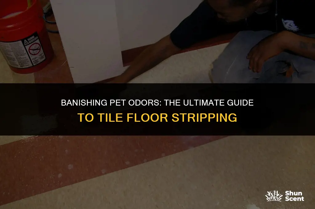 will stripping my tile floor get rid of pet odors