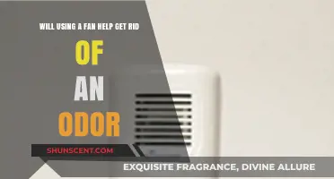 Fresh Air Ahead: Can a Fan Really Banish Unpleasant Odors?