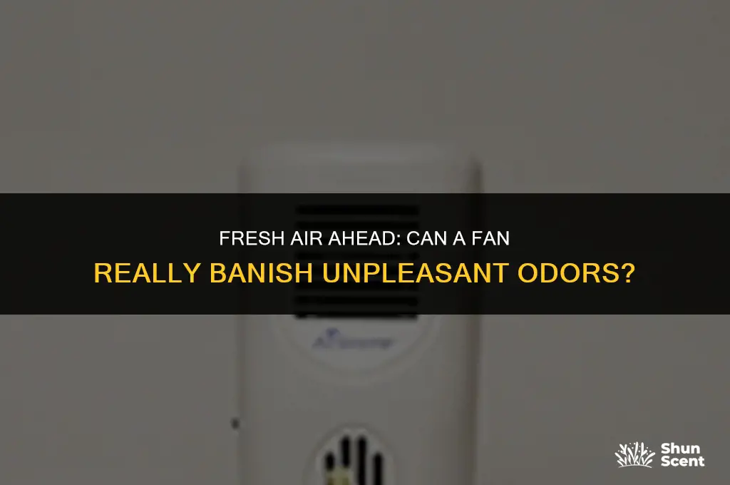 will using a fan help get rid of an odor