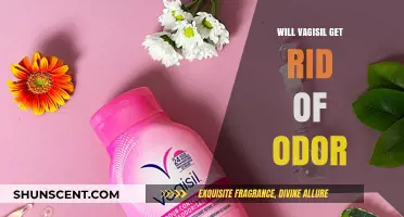Freshness Redefined: Can Vagisil Really Eliminate Odor?
