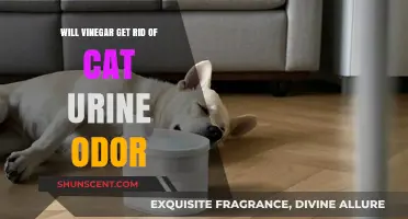 Natural Remedies: Vinegar's Role in Eliminating Cat Urine Odor