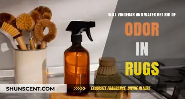 Natural Odor Removal: Vinegar and Water Solution for Rugs