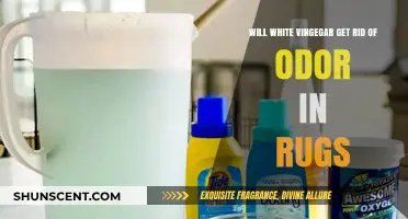 Freshen Up Your Rugs: The Power of White Vinegar