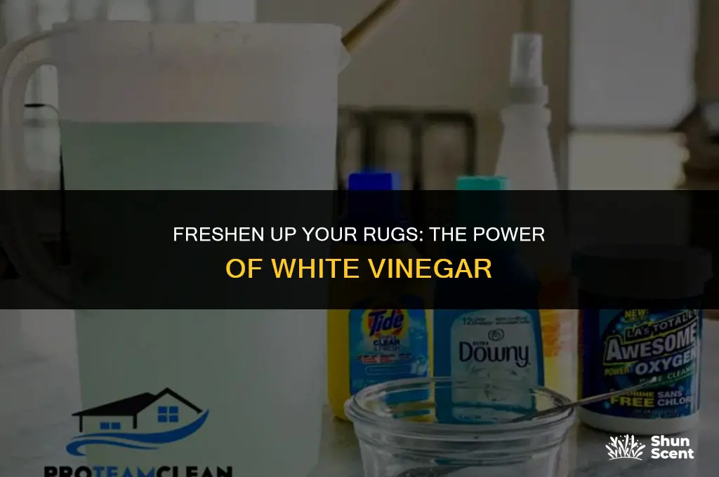will white vingegar get rid of odor in rugs